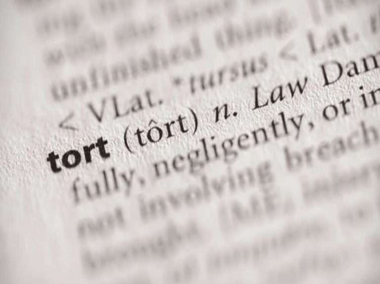 Definition of Tort Law