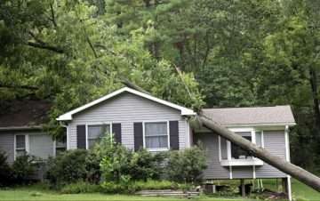 Fallen tree on top of gray house.